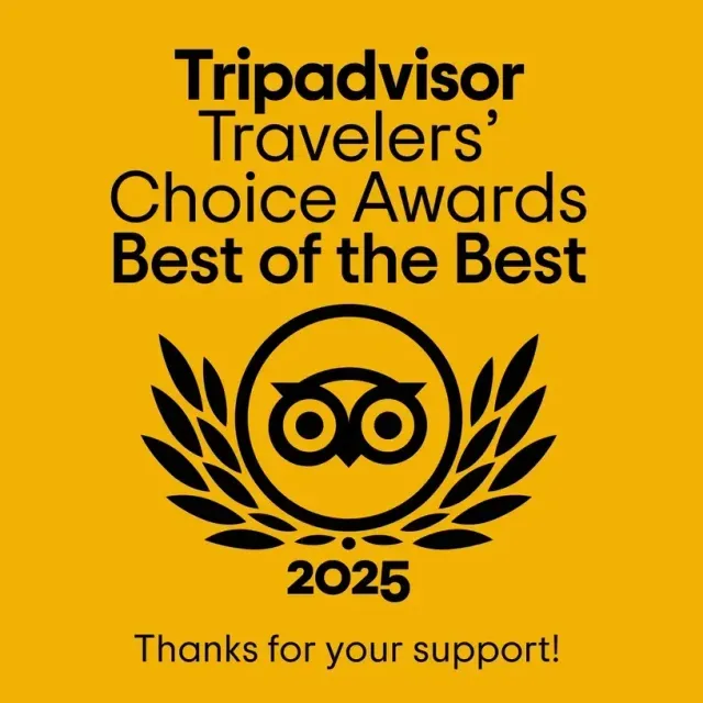 tripdvisor 2025
